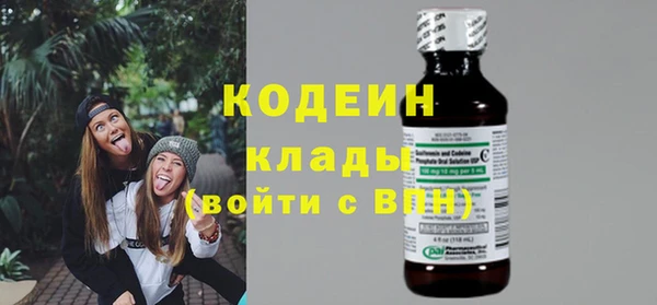дурь Арсеньев