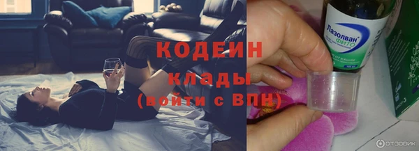 дурь Арсеньев