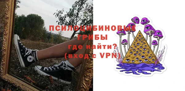 дурь Арсеньев