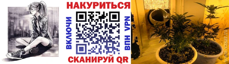 Бошки Шишки MAZAR  Боготол 